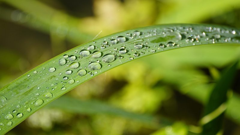 小草助手用户热评:他们实际用下来的感受